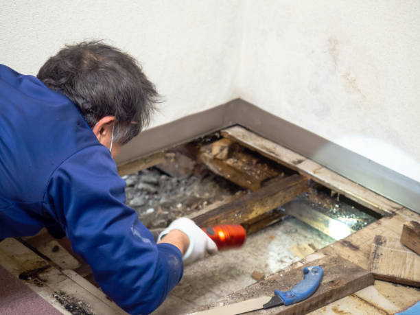 Best Crawl Space Mold Removal  in Monrovia, MD