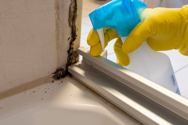 Best Fast Mold Removal  in Monrovia, MD