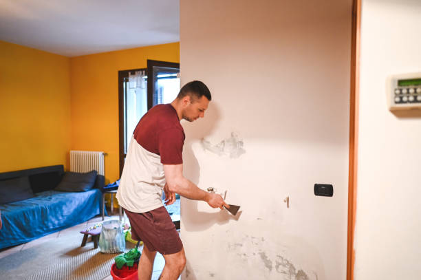 Best Office Mold Removal Services  in Monrovia, MD