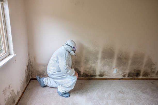 Best Residential Mold Removal  in Monrovia, MD