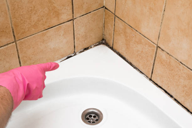 Best Home Mold Removal  in Monrovia, MD